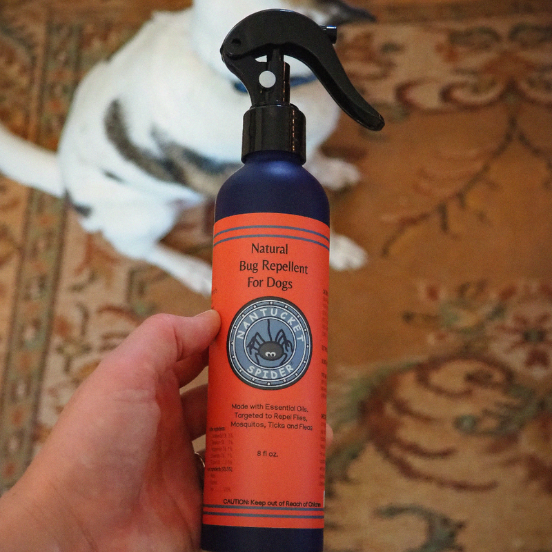 Natural Bug Repellent Spray For Dogs