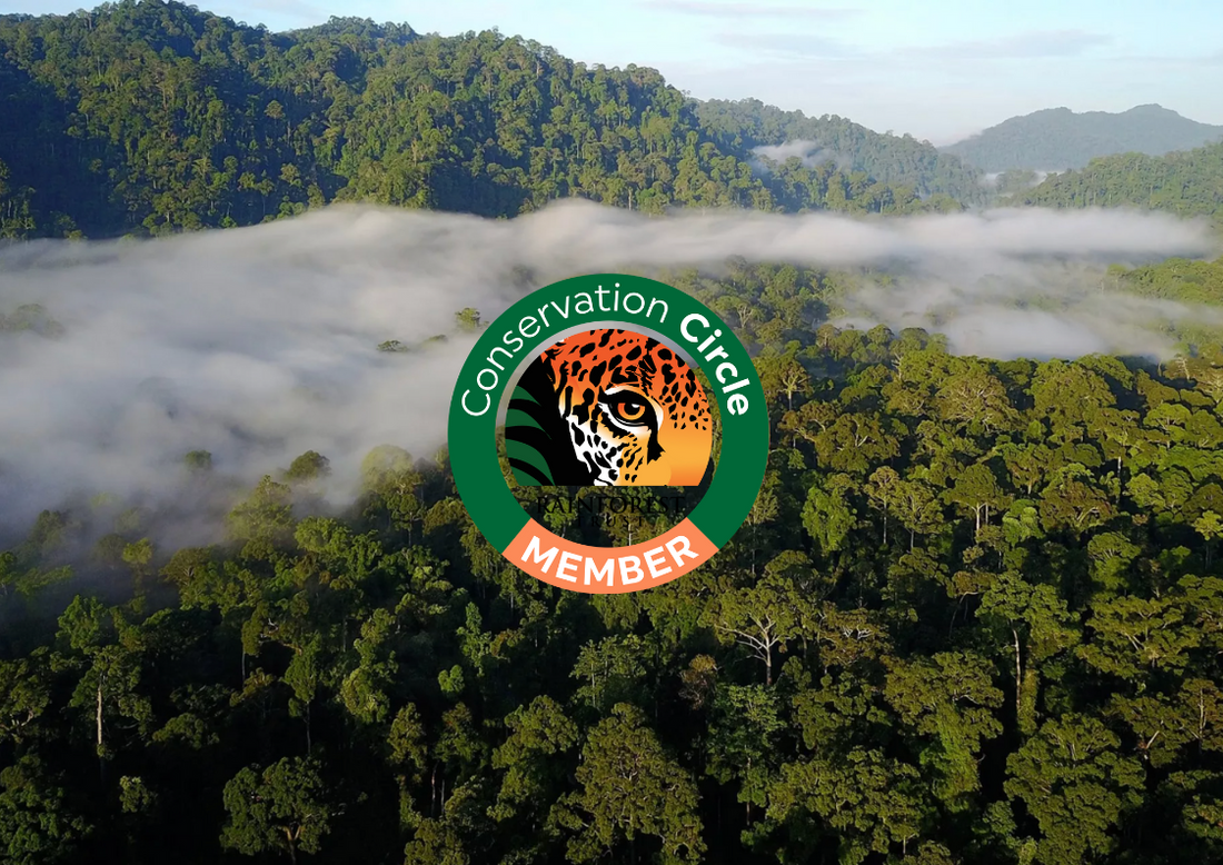 Latest Update from Rainforest Trust: Significant Conservation Progress and Ongoing Challenges