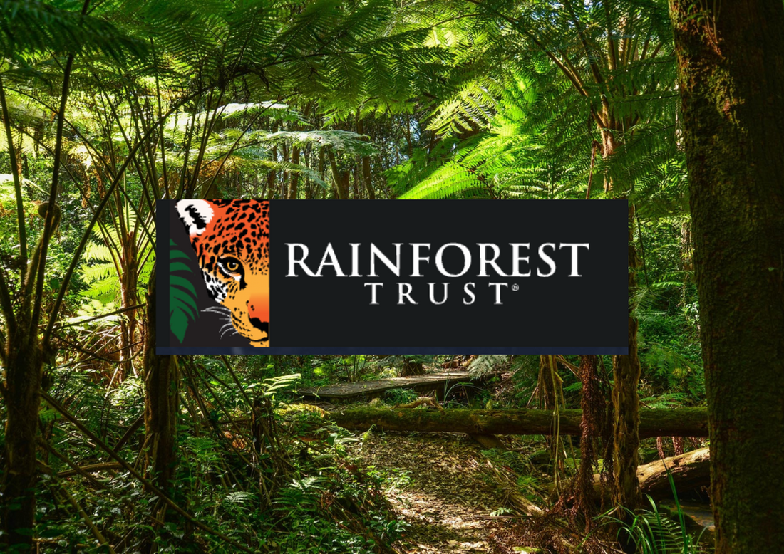 Rainforest Trust Update: Local group of women implement community-based restoration area, creating their own source of income.