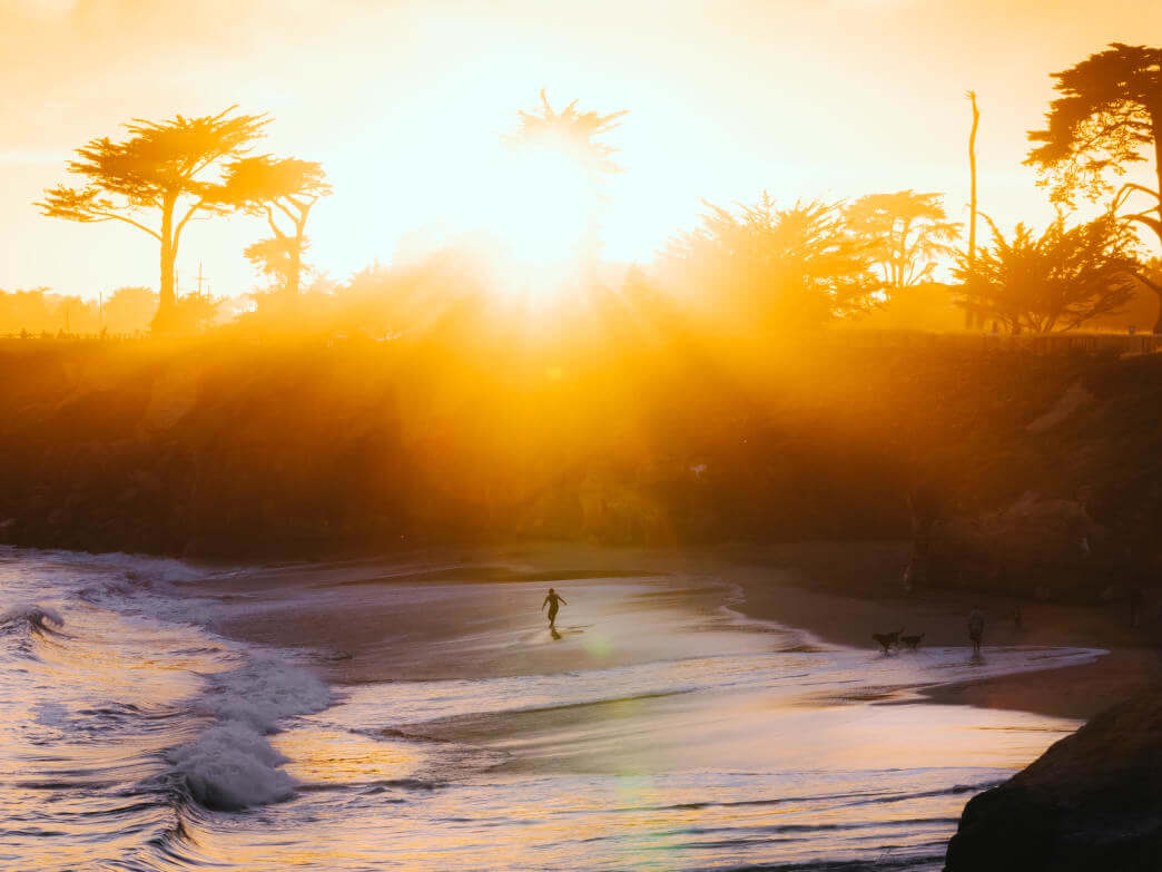 Are You Addicted to Nature? - Nantucket Spider