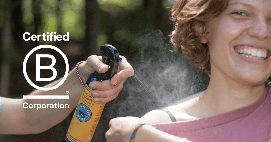 Embracing Sustainability: Nantucket Spider Achieves B Corporation Certification - Nantucket Spider