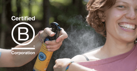 Embracing Sustainability: Nantucket Spider Achieves B Corporation Certification - Nantucket Spider