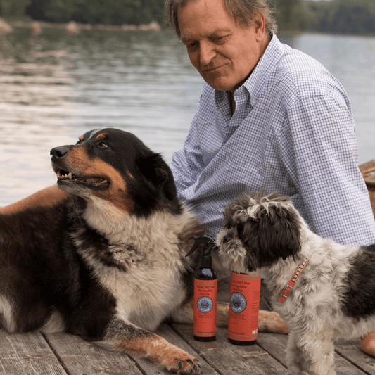 Exploring the Great Outdoors with Your Furry Friend: Unleash A 2024 Adventure! - Nantucket Spider