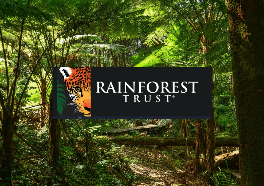 Rainforest Trust Update: Local group of women implement community-base ...