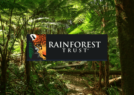 Rainforest Trust Update: Local group of women implement community-based restoration area, creating their own source of income. - Nantucket Spider