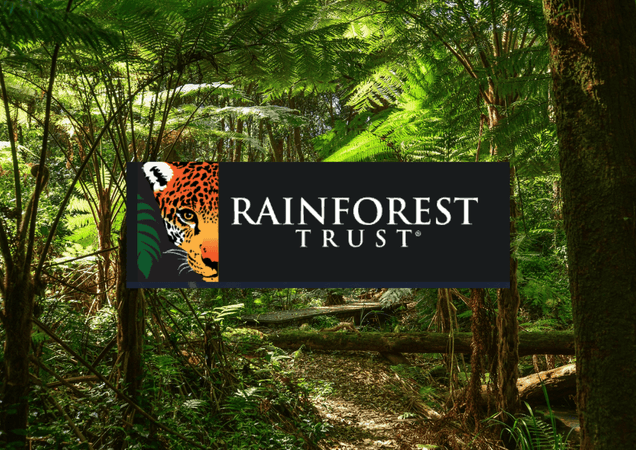 Rainforest Trust Update: Local group of women implement community-based restoration area, creating their own source of income. - Nantucket Spider