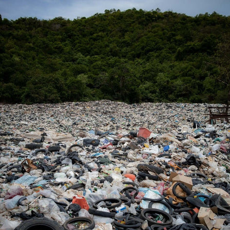 The Case for Sustainable Business: The Benefits of Post-Consumer Recycled Plastic - Nantucket Spider