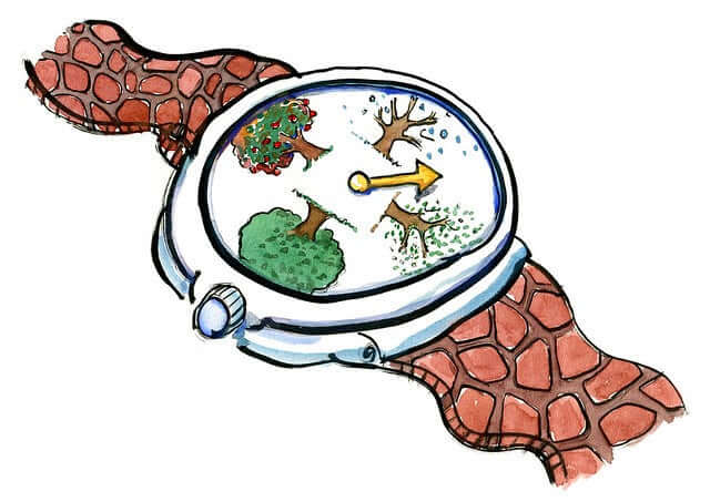 The Gift of Time - Nantucket Spider