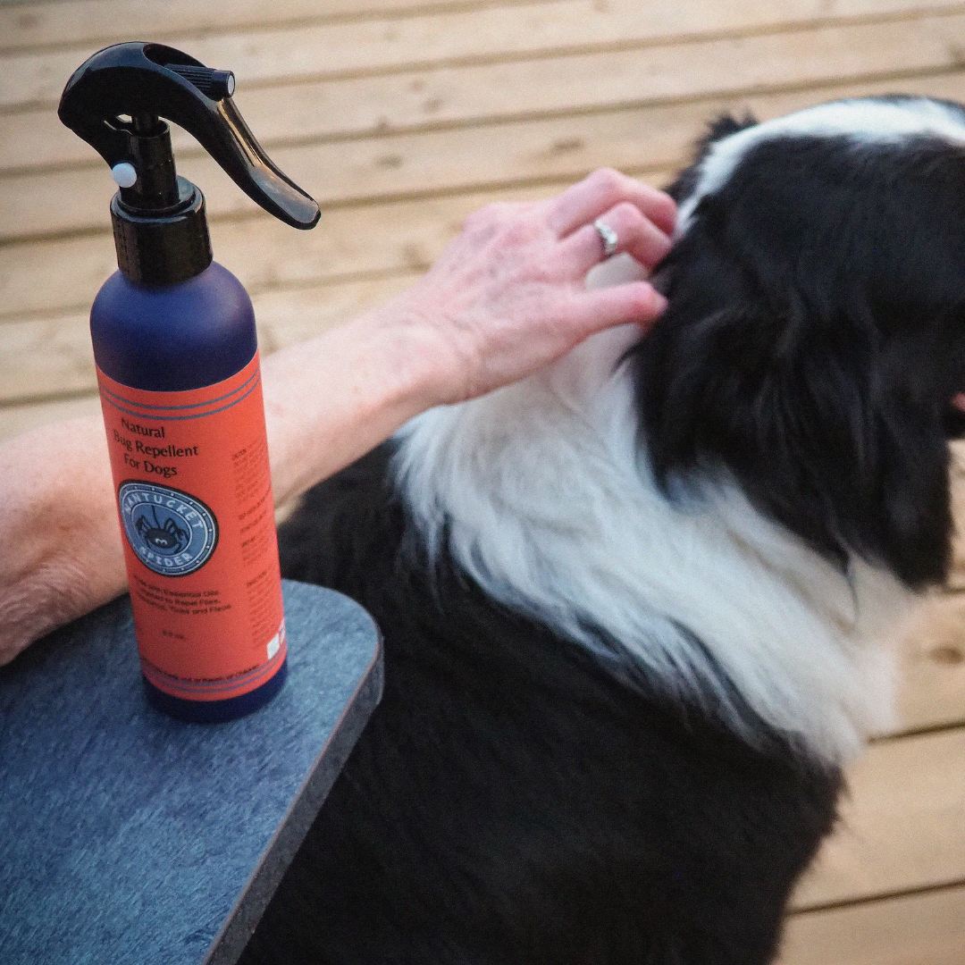 Tick repellent discount spray for dogs