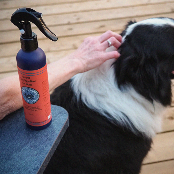 Best bug repellent for dogs sale