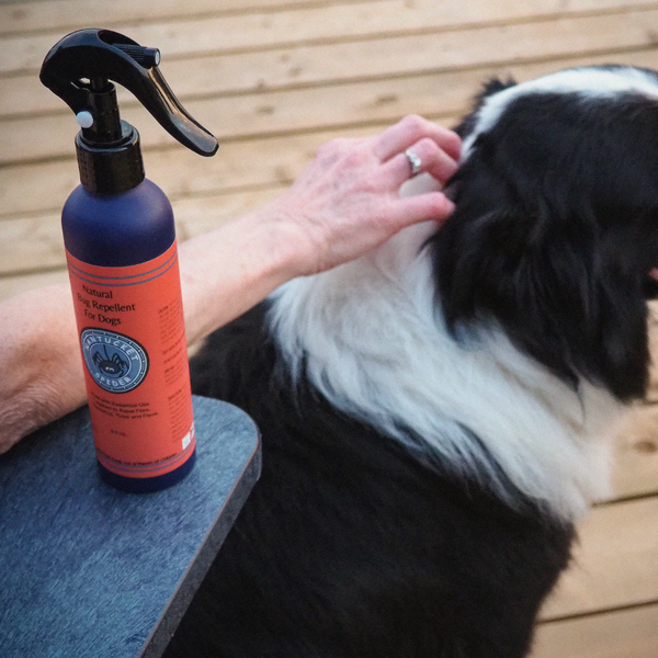 Flea and tick shop repellent spray for dogs