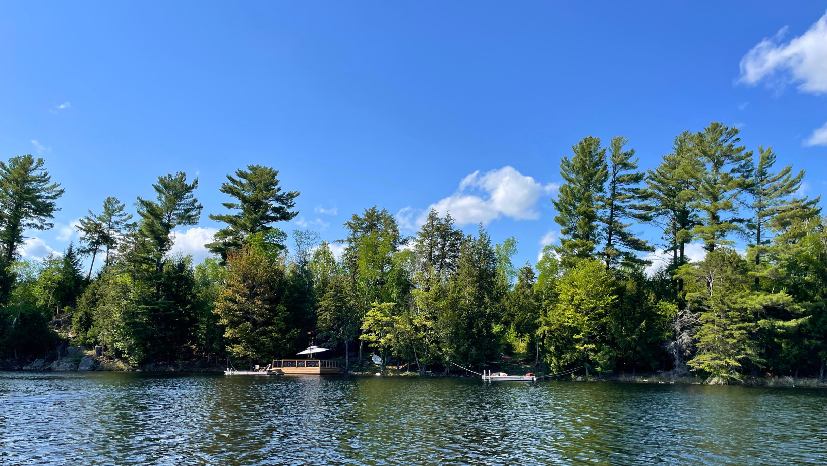 The Official Bug Spray (3).png__PID:4e95b883-1b22-4a37-a660-b0409d7feaa2