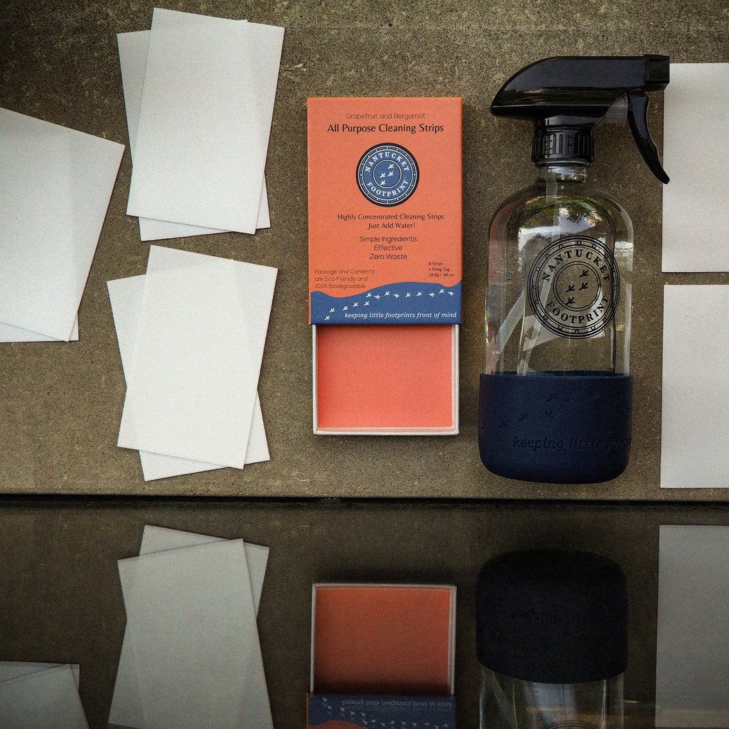 All - Purpose Cleaning Strips + Glass Spray Bottle Bundle - Nantucket Spider