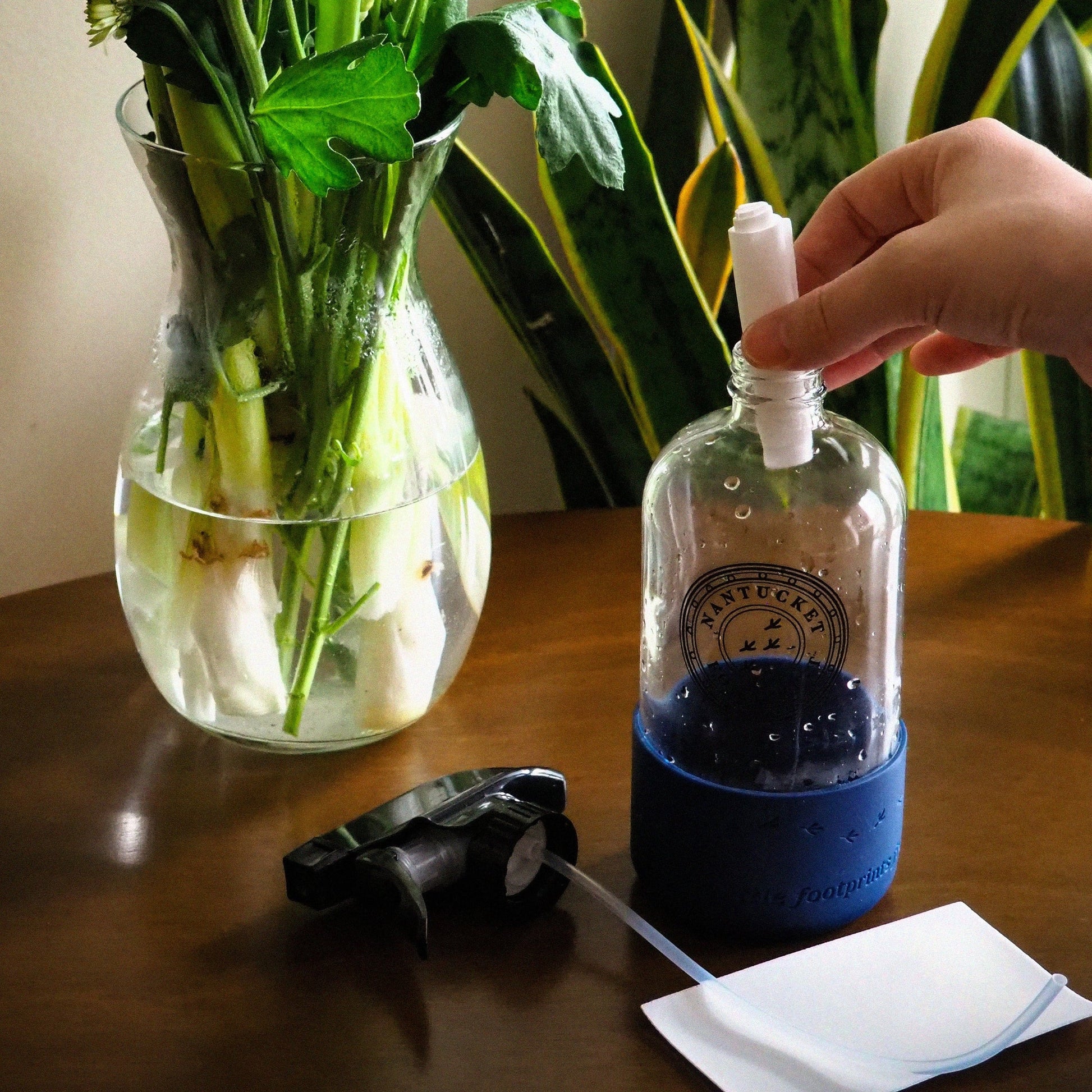 Just Add Water - Glass & Window Cleaning Strips (2 Strips) + 16 oz Reusable Glass Spray Bottle - Nantucket Spider