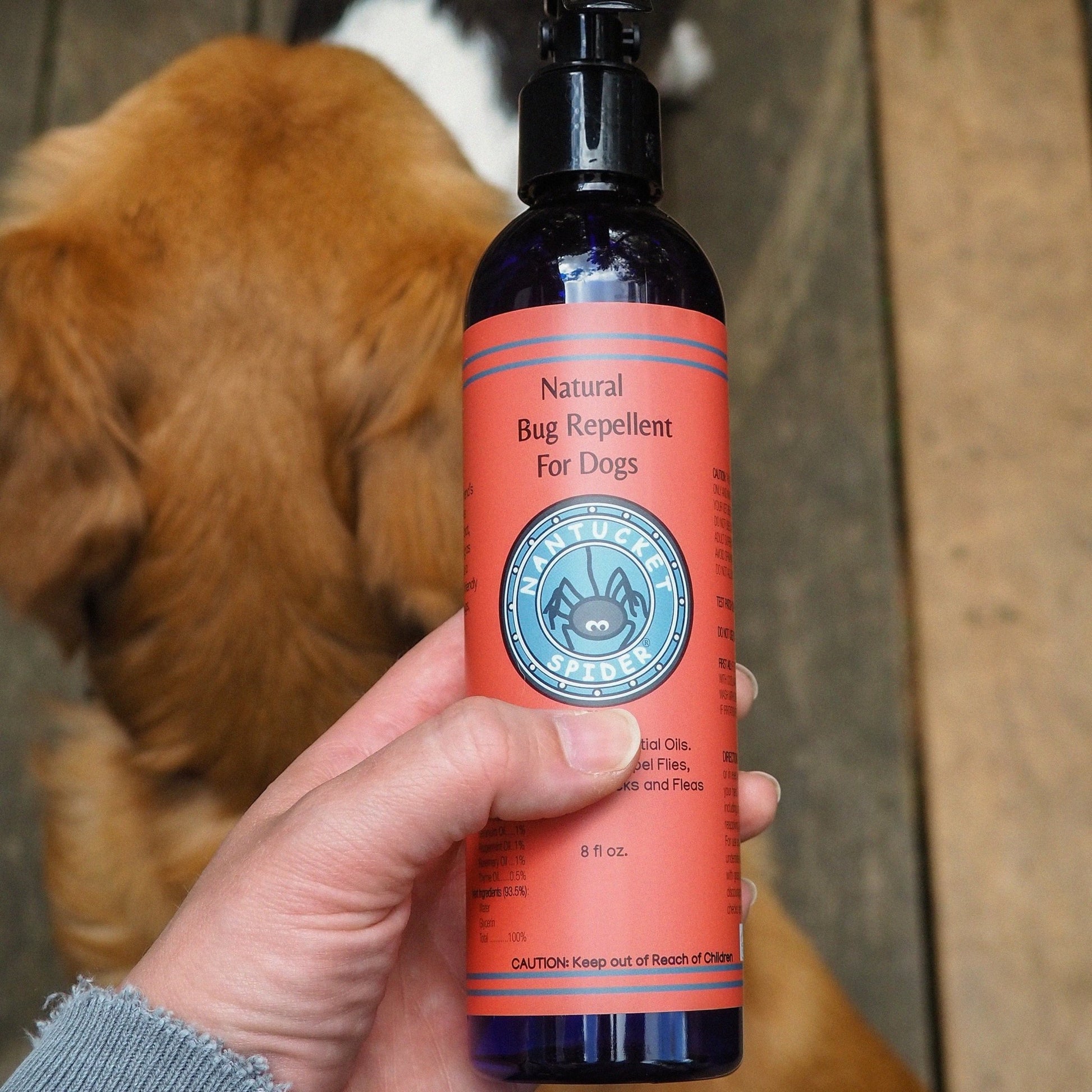 Natural Bug Repellent Spray For Dogs - Nantucket Spider