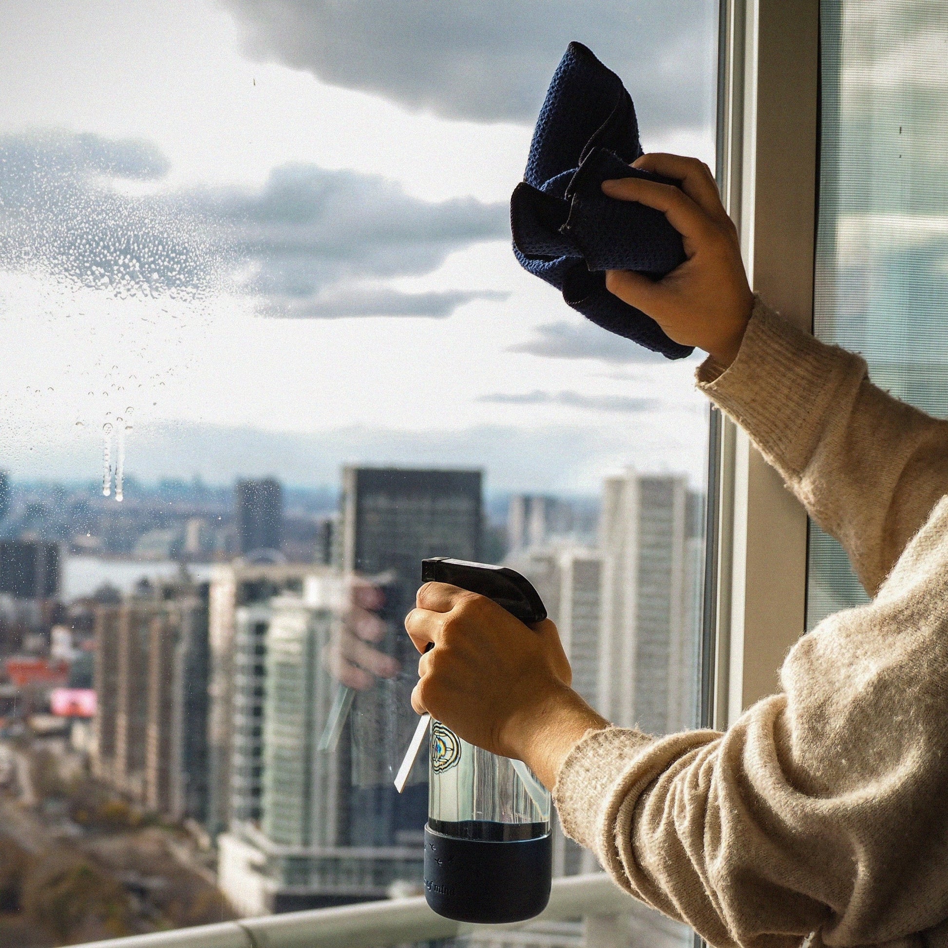 Professional Microfiber Glass & Window Cleaning Cloth Set x3 - Nantucket Spider