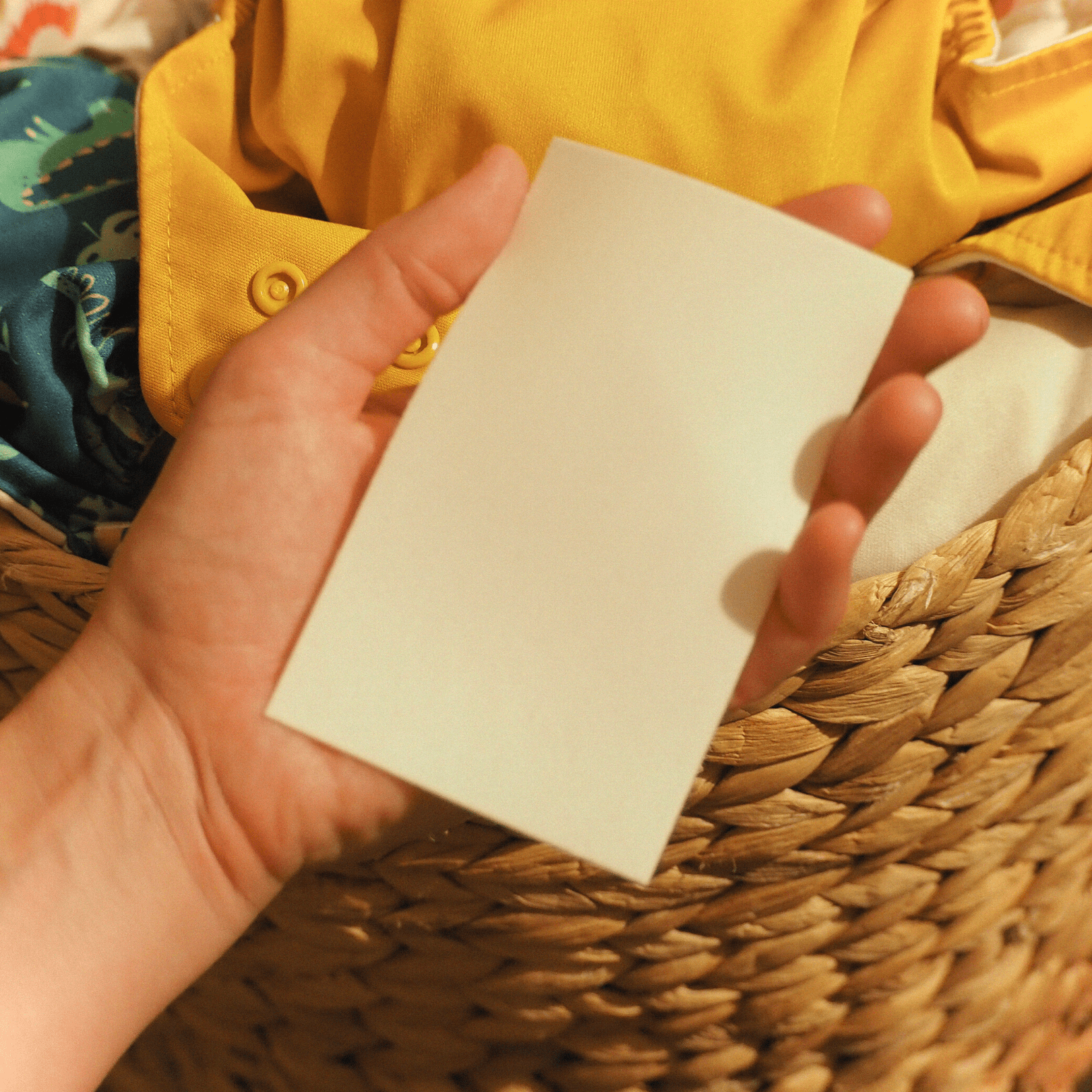 Laundry Detergent Sheets - Chamomile - 48 Strips - Nantucket Spider