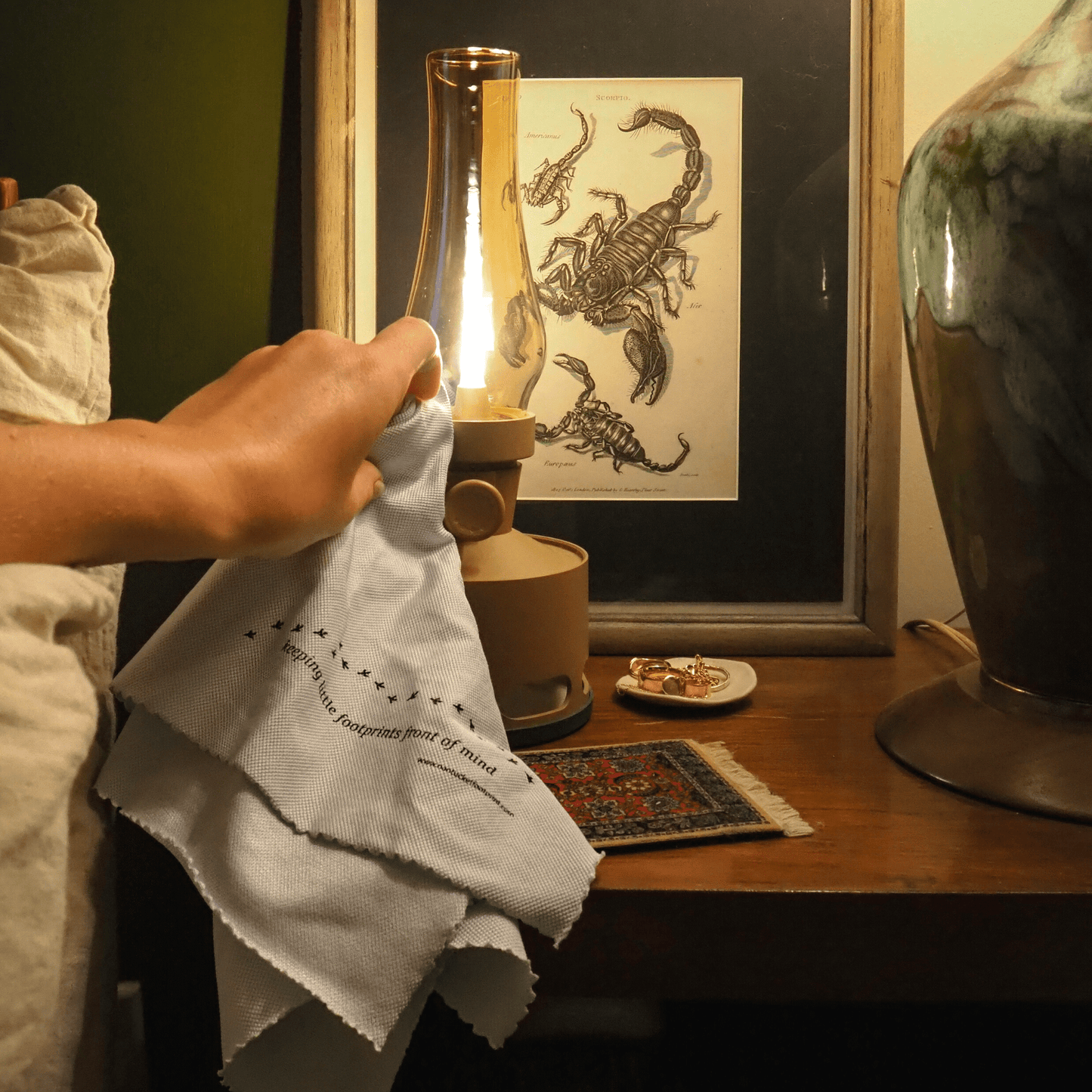 Microfiber Glass & Window Cleaning Cloths - 2 Cloths - Nantucket Spider