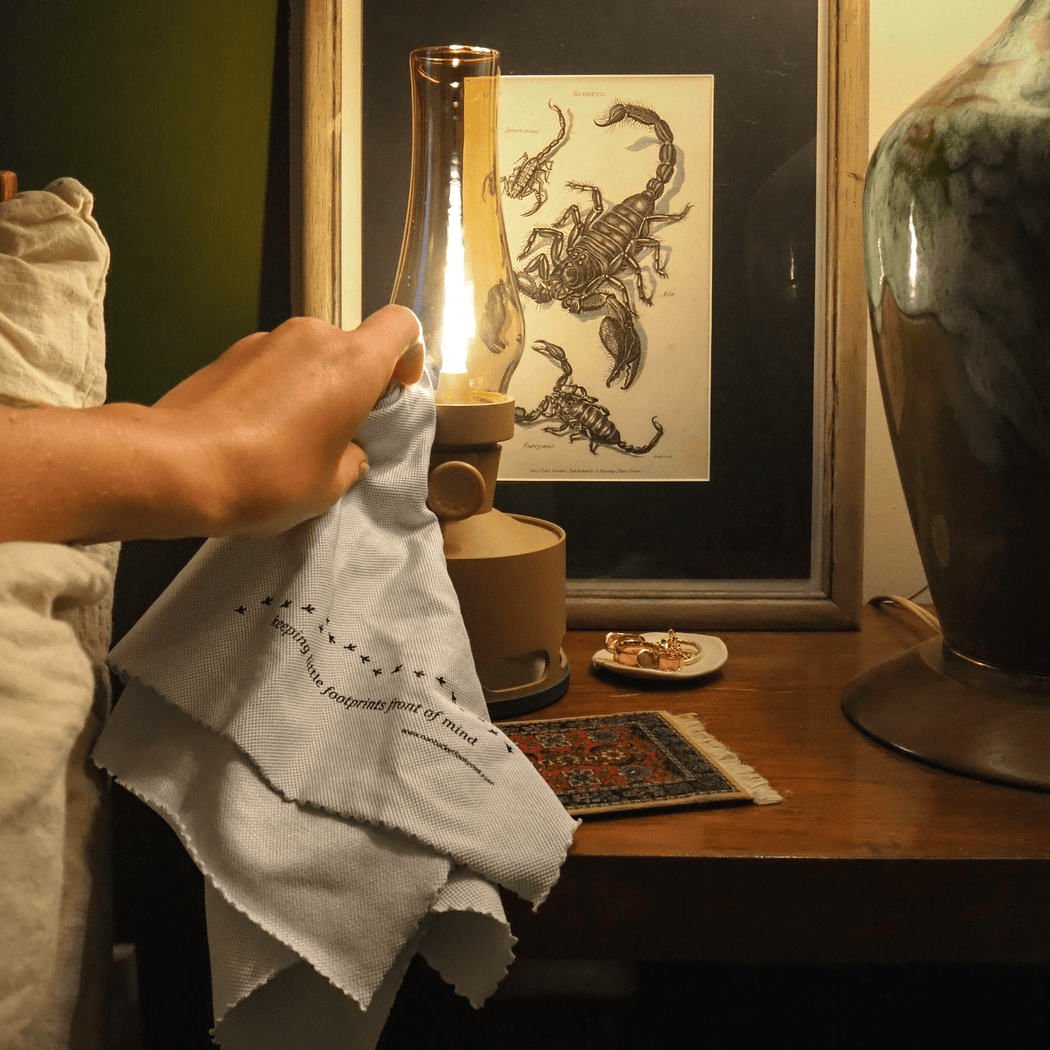 Microfiber Glass & Window Cleaning Cloths - 2 Cloths - Nantucket Spider