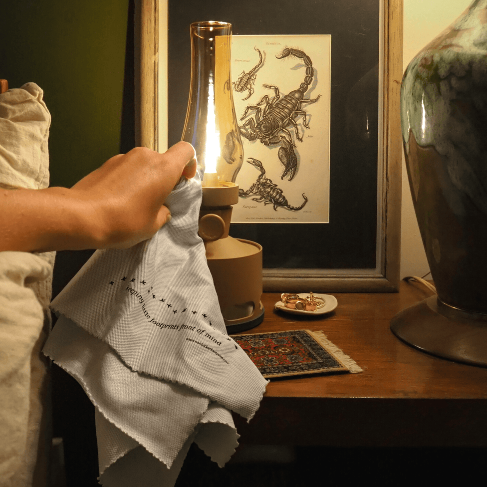 Microfiber Glass & Window Cleaning Cloths - 2 Cloths - Nantucket Spider