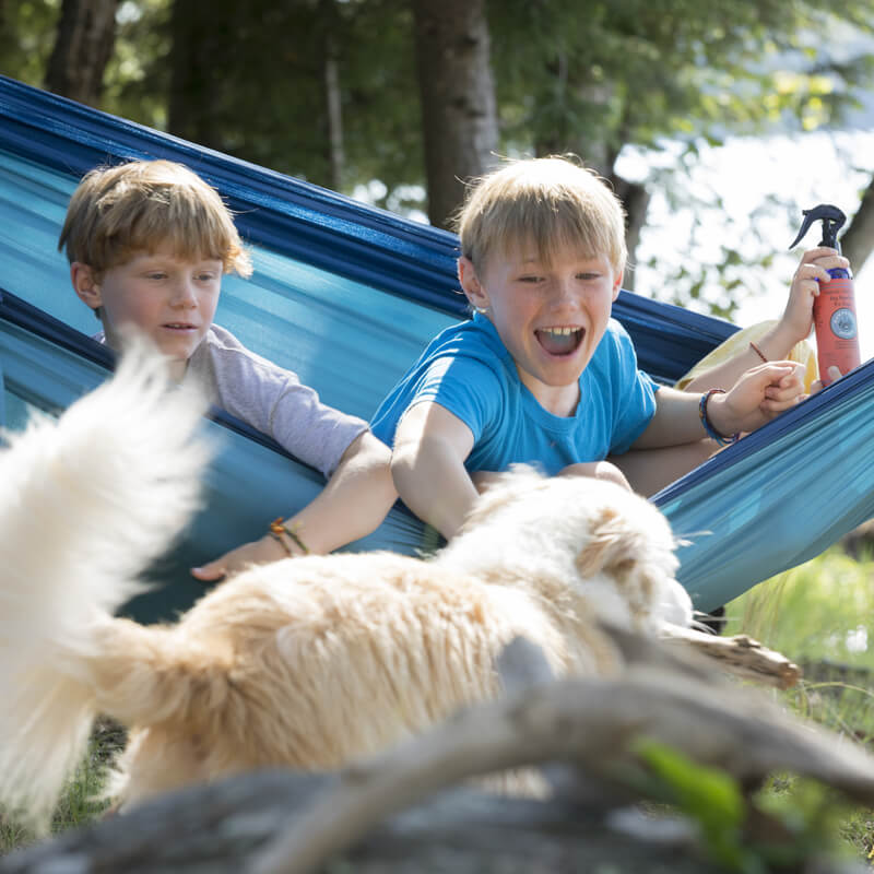 Natural Bug Repellent Spray For Dogs - Nantucket Spider