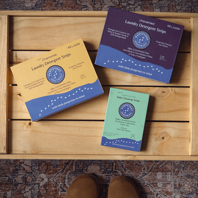 Toilet Cleaner - 24 Strips - Nantucket Spider