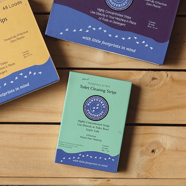 Toilet Cleaner - 24 Strips - Nantucket Spider