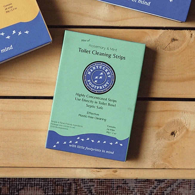 Toilet Cleaner - 24 Strips - Nantucket Spider