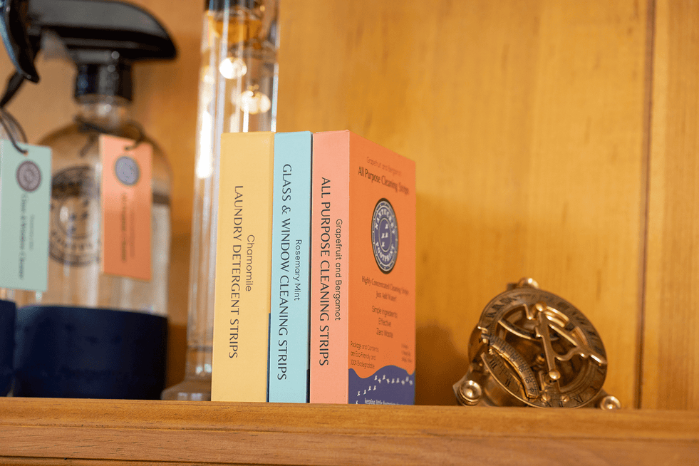 Window Bundle: Window Strips & Reusable Glass Bottle & Eco Friendly Cleaning Cloths - Nantucket Spider